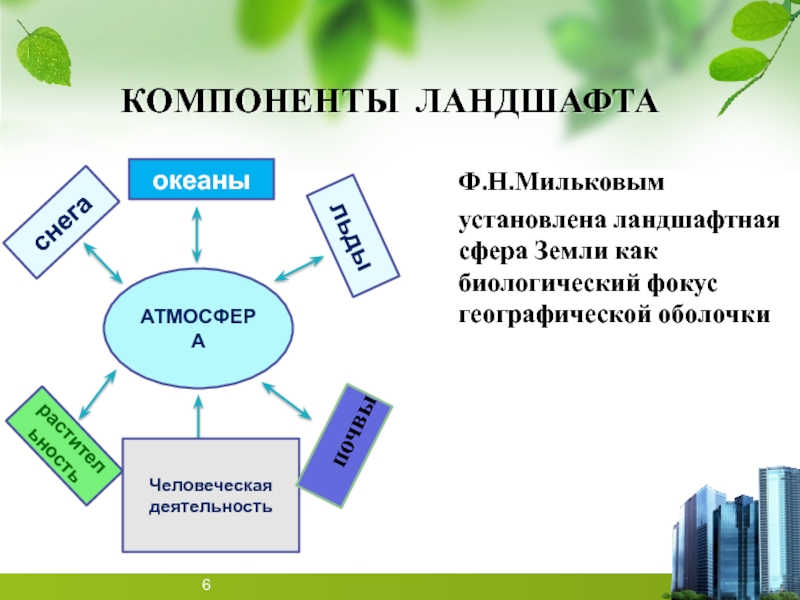 Компоненты ландшафта. Почва как компонент ландшафта. Ландшафтовед геоэколог сфера деятельности.