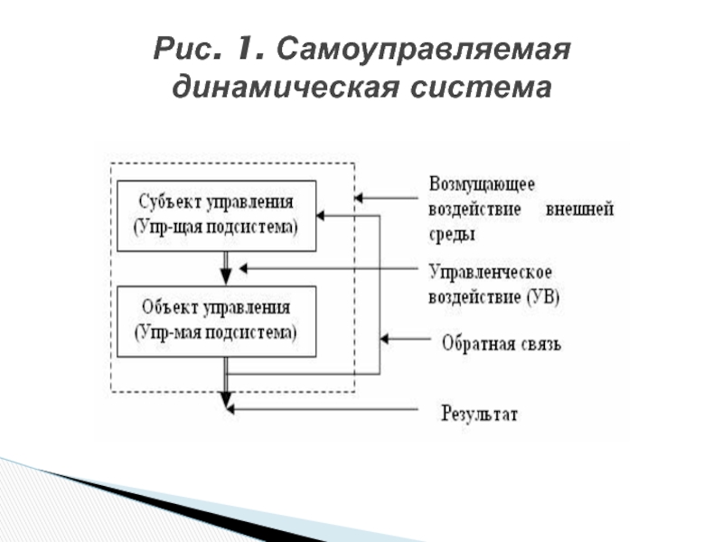 Динамическая система. Самоуправляемые системы. Самоуправляемые системы примеры. Социальная система самоуправляемая. Человек - самоуправляемая система.