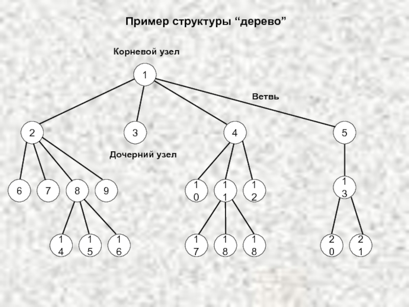 Состав дерева