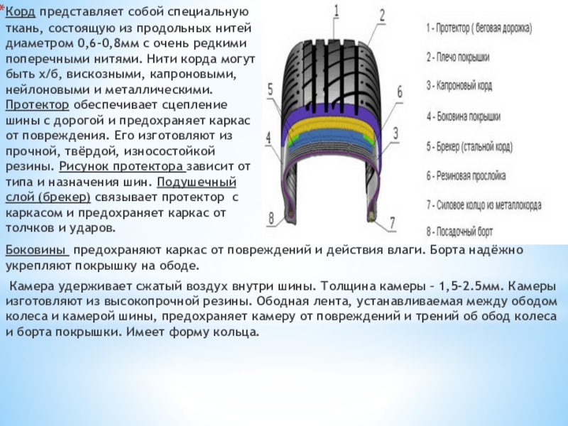 Презентация по теме шины