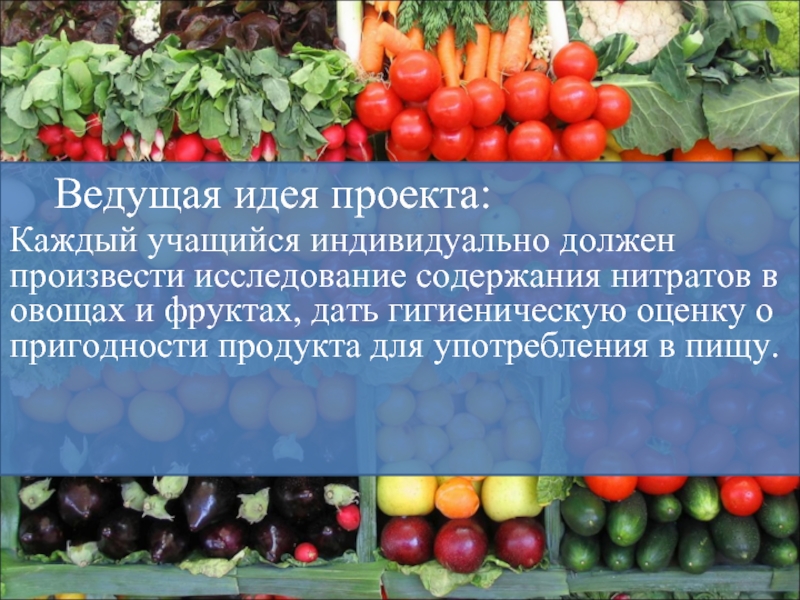 Нитраты в овощной продукции проект