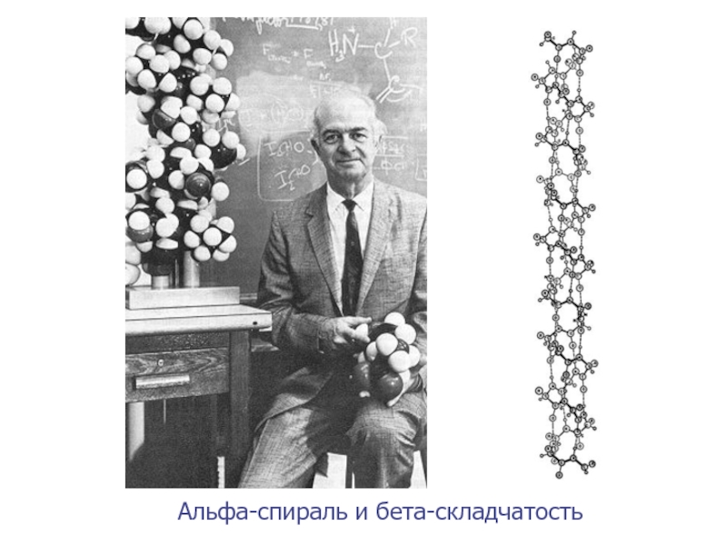 Реферат: Циммер, Генрих Роберт