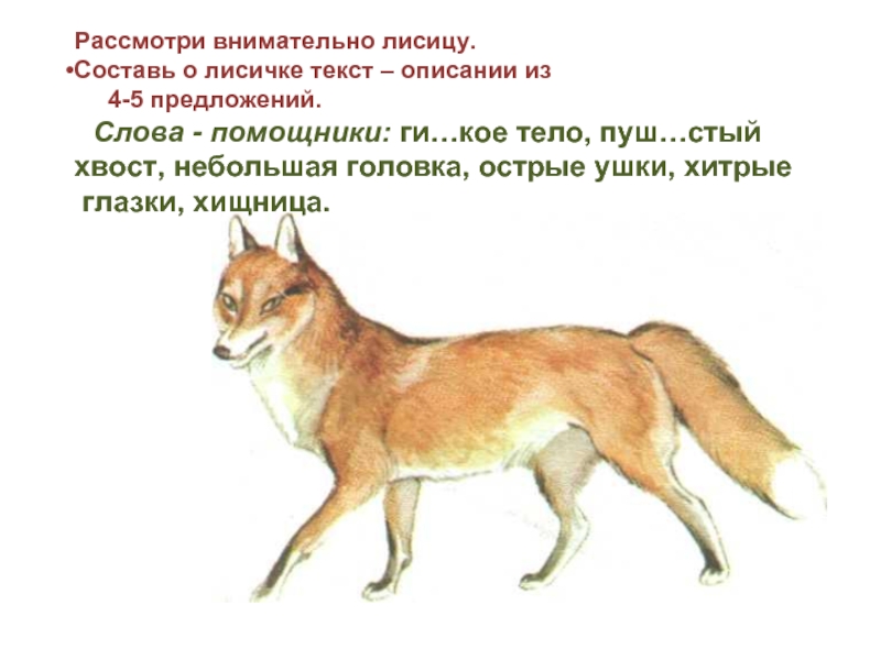 Охота на лисицу текст на английском