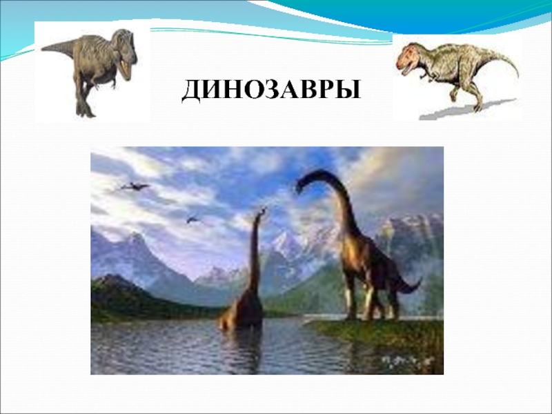 Динозавры 1-2 класс