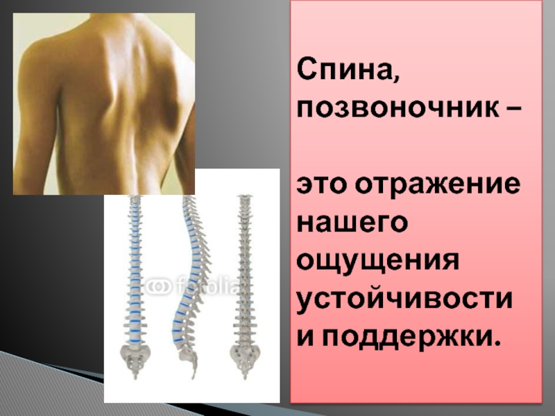 Позвоночник это. Позвоночник. Капсулы для позвоночника. Позвонки человека. Строение позвоночника человека.