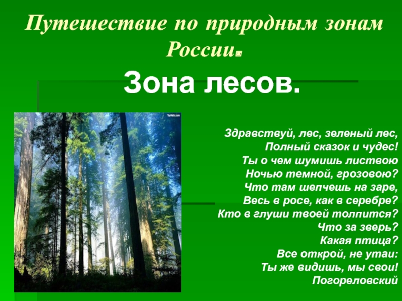 Тест лесные зоны россии. Лесные зоны презентация. Зона лесов окружающий мир. Леса России кратко. Презентация на тему Лесная зона.