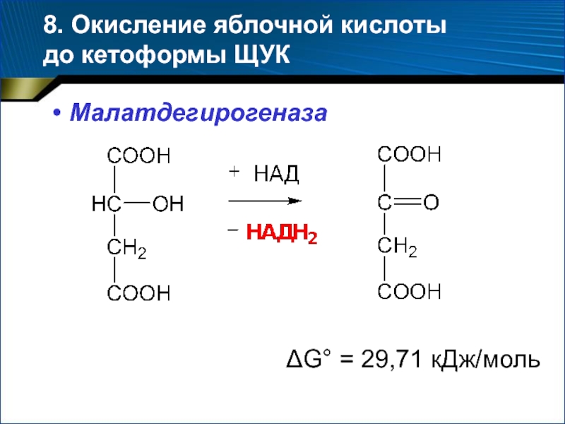 Окислительная кислота. Получение яблочной кислоты из фумаровой. Ферментативное окисление яблочной кислоты реакция. Окисление яблочной кислоты над+. Ферментативное окисление яблочной кислоты.