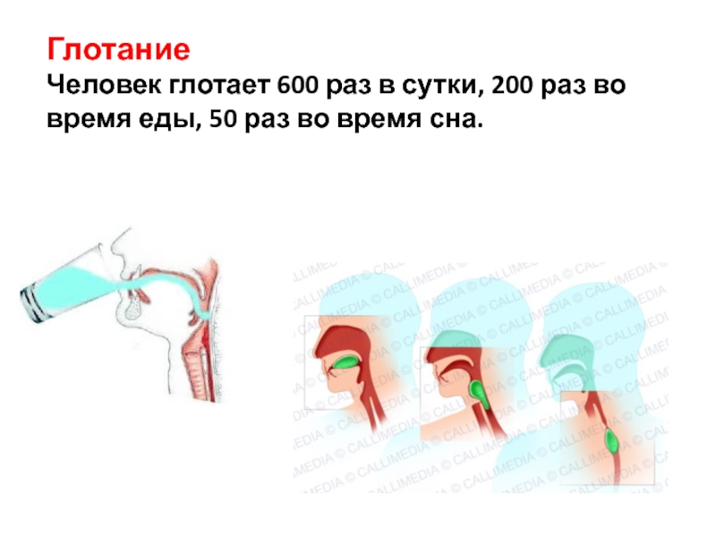 Можно ли глотать. Сложно глотать таблетки. Как научиться глотать капсулы.