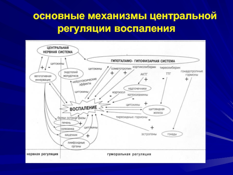 Основные механизмы