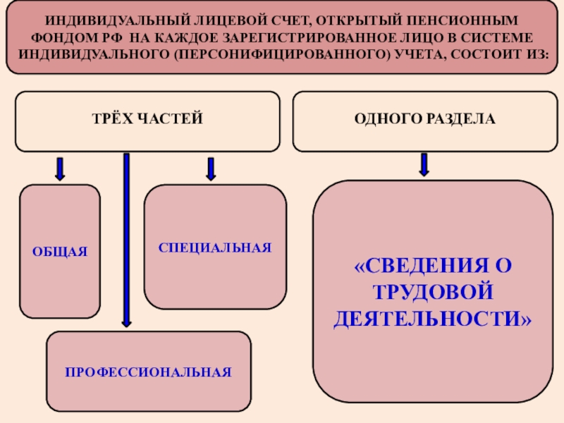 Индивидуальный учет в пенсионной системе. Структура индивидуального лицевого счета. Индивидуальный лицевой счет. Индивидуальный лицевой счет в пенсионном фонде. Структура индивидуального лицевого счета схема.