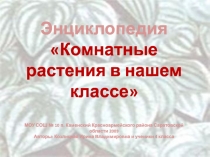 Комнатные растения в нашем классе 4 класс