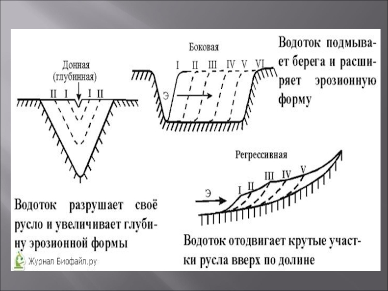 Донной пил. Донная эрозия рек схема. Боковая эрозия рек схема. Донная и боковая эрозия рек. Донная Речная эрозия.