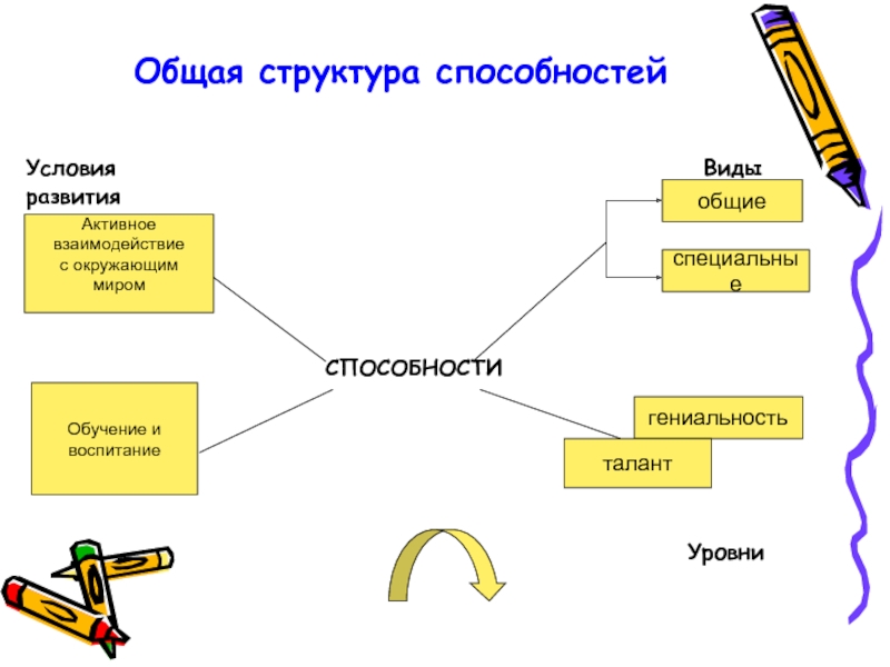 Общая структура способностей схема