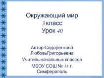 Презентация по теме: Наши проекты. 