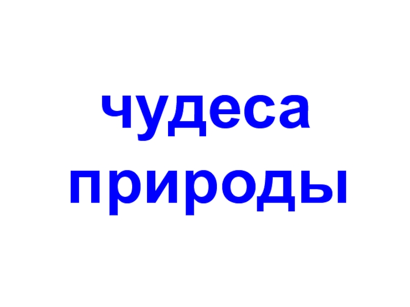 Презентация Чудеса природы на Земле