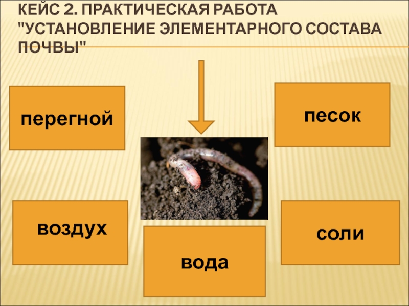 Почва это какое вещество. Состав почвы перегной. Перегной в почве. Установление состава почвы практическая работа. Что такое почвенный перегной.