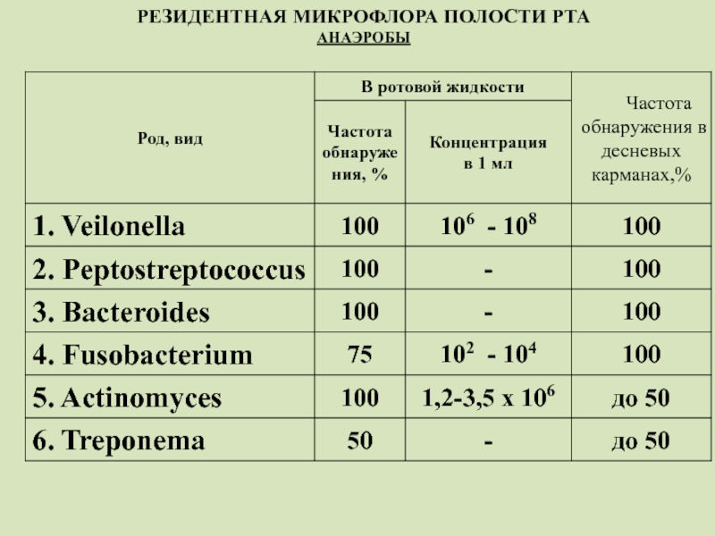 Микрофлора полости рта презентация