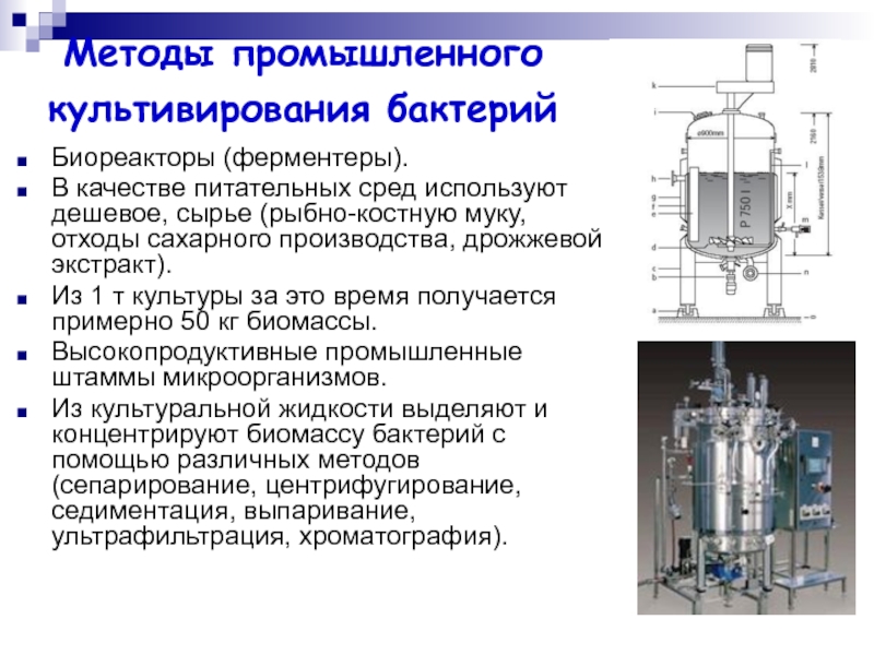 Реферат: Биореакторы (ферментаторы)