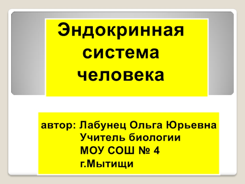 Презентация Эндокринная система человека