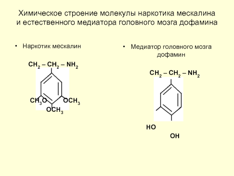 Химическое строение