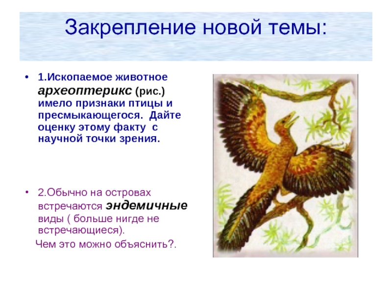 Сходные признаки птиц и пресмыкающихся. Археоптерикс признаки птиц и пресмыкающихся. Археоптерикс признаки птиц и пресмыкающихся таблица. Археоптерикс Эволюция птиц. Археоптерикс переходная форма между пресмыкающимися и птицами.