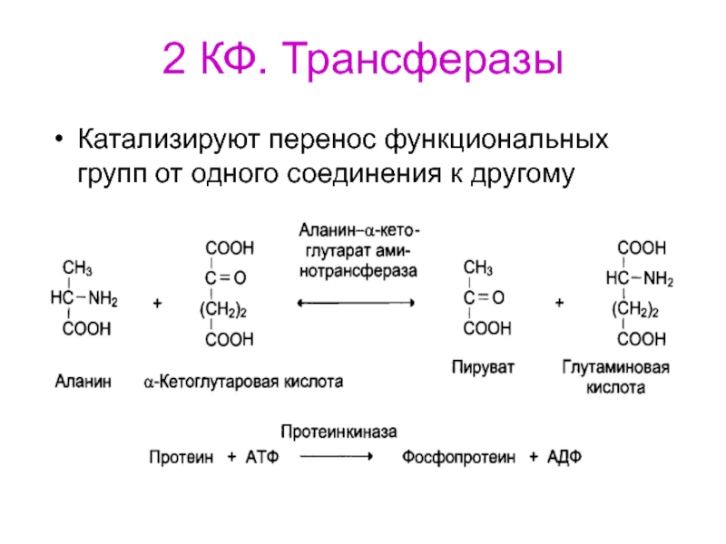 Ферменты катализирующие синтез. Схема реакции трансферазы. Трансферазы примеры реакций. Трансферазы примеры ферментов. Строение трансферазы.
