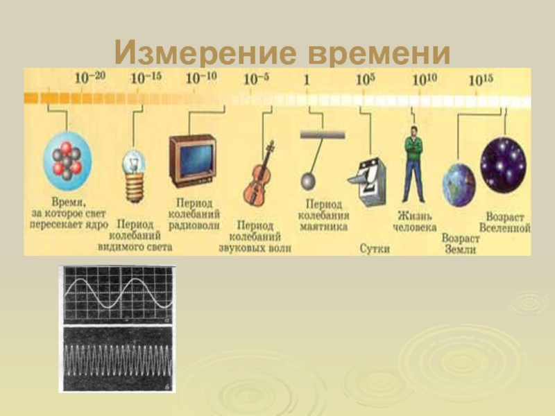 Измерение скорости реакции человека на звуковые и световые сигналы проект