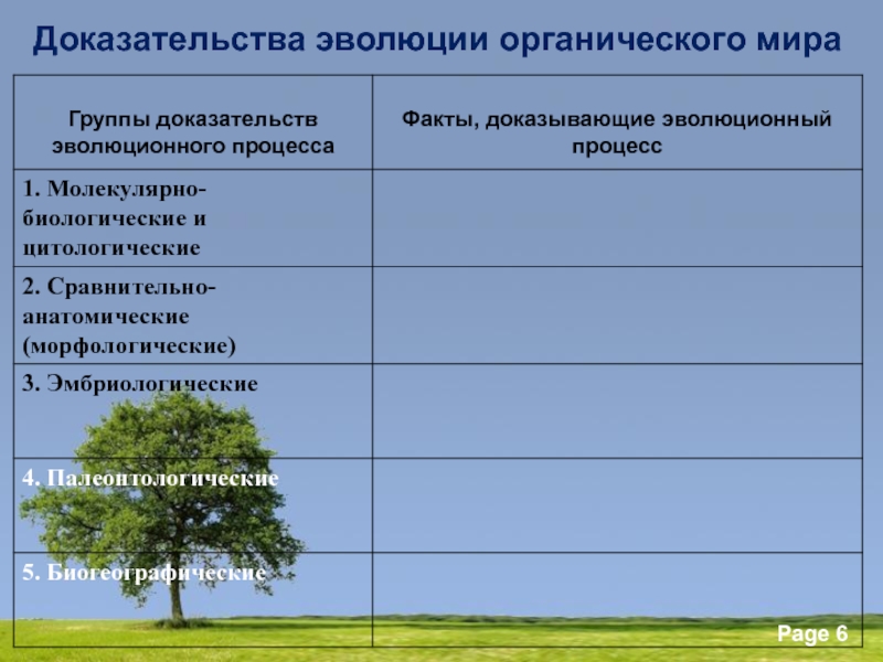 Схема доказательства эволюции 9 класс