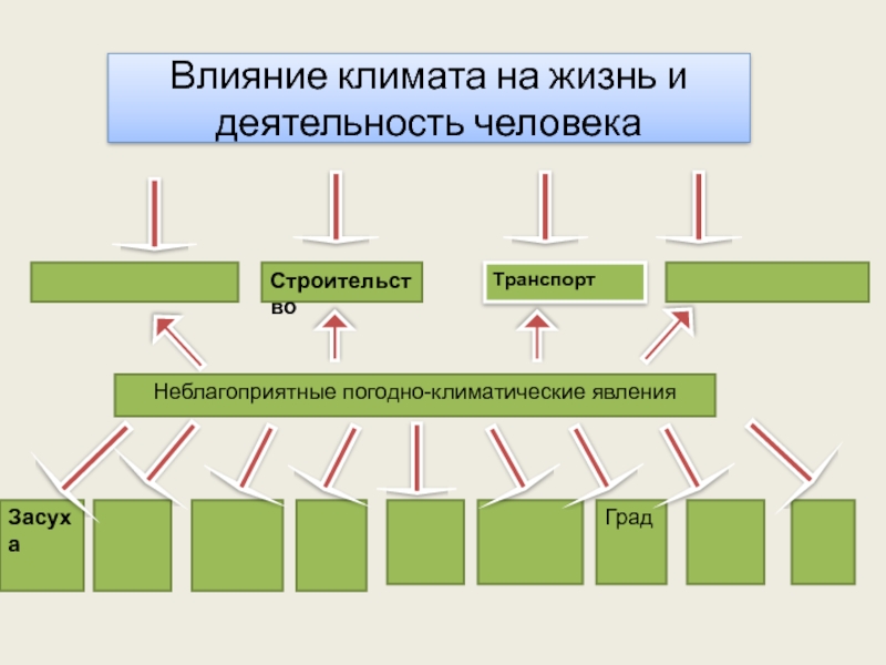 Влияние климата на жизнь и хозяйственную деятельность