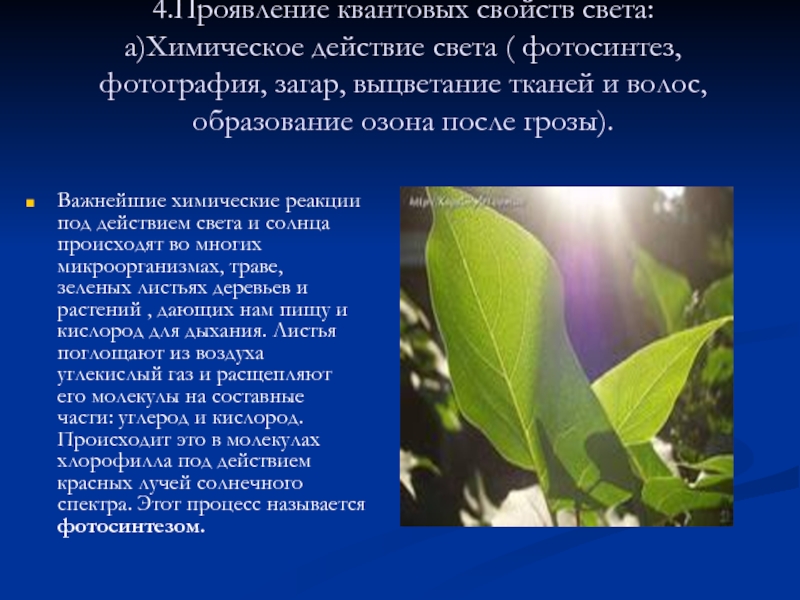 Действие света. Химическое действие света. Химическое воздействие света. Химическое действие света в природе. Химическое действие света это в физике.