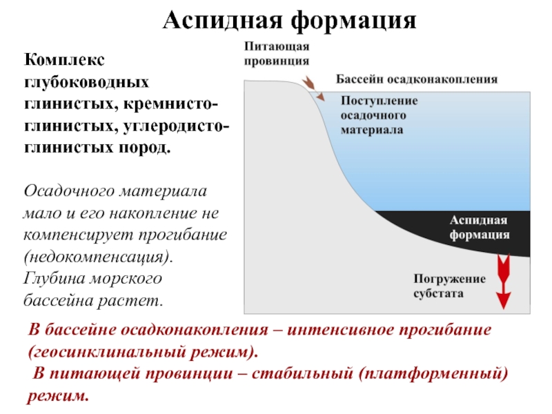 Мало материала. Аспидная формация. Бассейн осадконакопления. Некомпенсированное осадконакопление. Компенсированный бассейн осадконакопления.