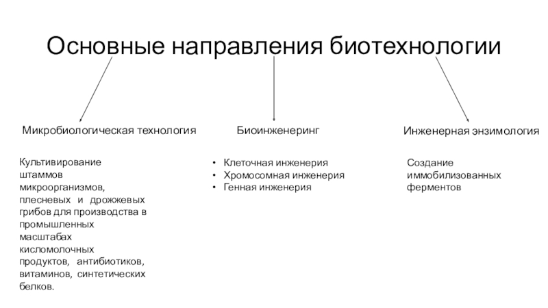 Презентация по теме биотехнология 10 класс