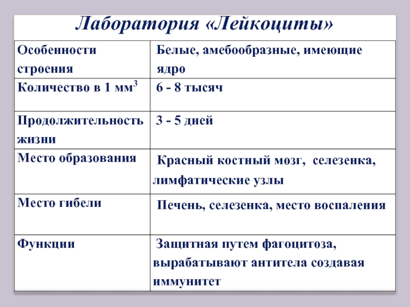 Характеристика лейкоцитов. Особенности строения лейкоцитов. Особенности состава и строения лейкоцитов. Лейкоциты их строение и функции. Лейкоциты характеристика и строение и функции.