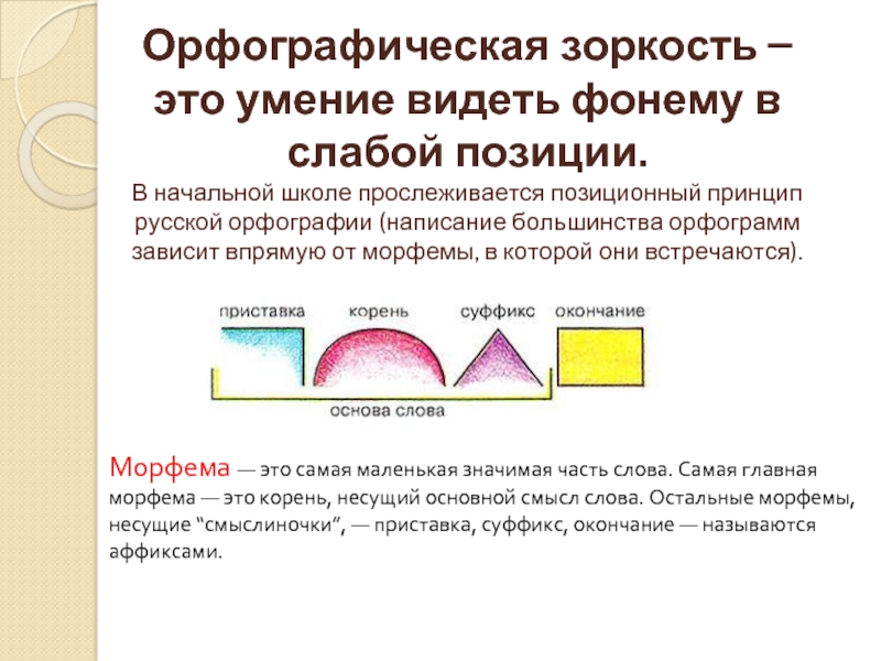 Упражнения для формирования орфографической зоркости 2 класс. Орфографическая зоркость. Формирование орфографической зоркости карточка. Орфографическая зоркость тренажер.