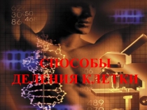 Способы деления клетки