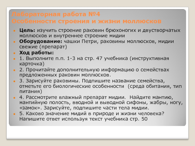 Лабораторная работа строение раковин моллюсков. Лабораторная работа изучение строения раковин моллюсков. Изучить строение раковин моллюсков для лабораторной работы. Лабораторная работа строение раковин. Лабораторная работа по биологии моллюски.