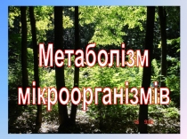 Метаболізм
мікроорганізмів