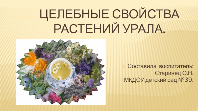 Целебные свойства растений Урала