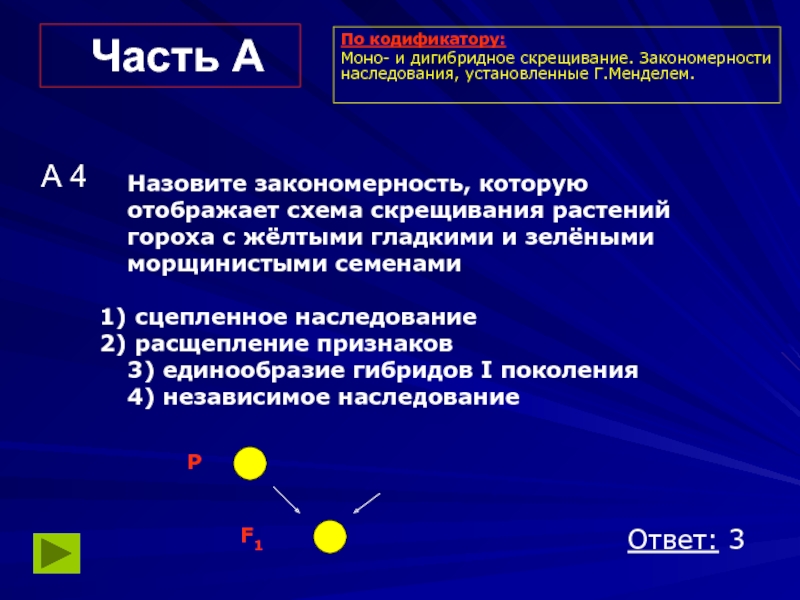 Часть АА 4Назовите закономерность, которую отображает схема скрещивания растений гороха с жёлтыми гладкими и зелёными морщинистыми семенами