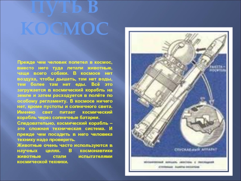 Первые путешественники в космос 4 класс. Презентация на тему космос. Космос для презентации. Проект космонавтики. Проект космонавтики 2 класс.