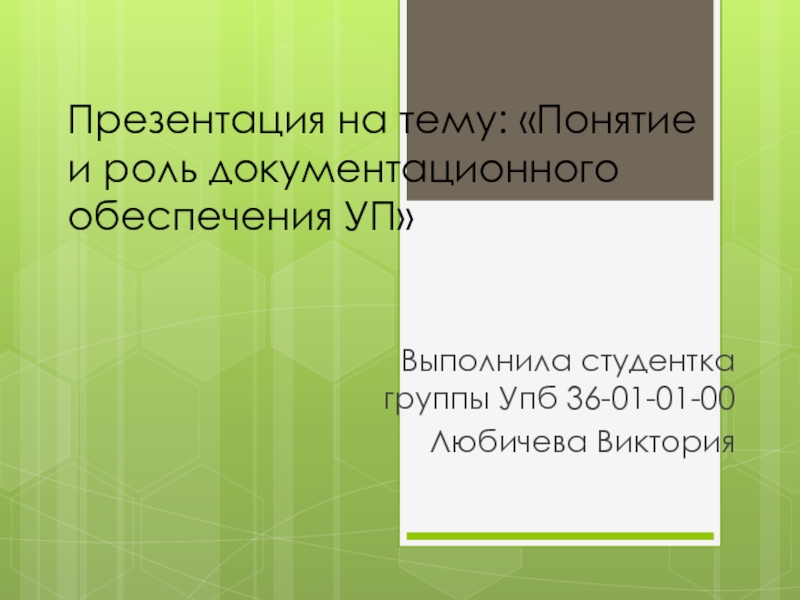 Понятие и роль документационного обеспечения УП