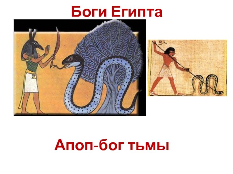 Есть бог тьмы. Египетский Бог Апоп. Египетский Бог тьмы Апоп. Апоп в древнем Египте. Бог Апоп в древнем Египте.