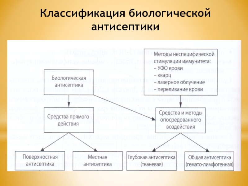 Методы воздействия биологической антисептики на микроорганизмы заполните схему