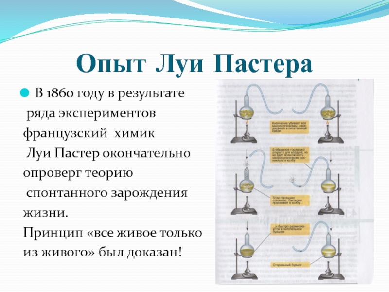 Зачем в опытах пастера нужен был мясной бульон