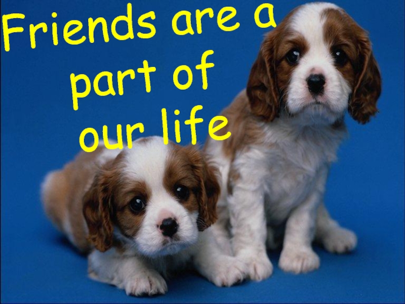 Friends are a part of  our life