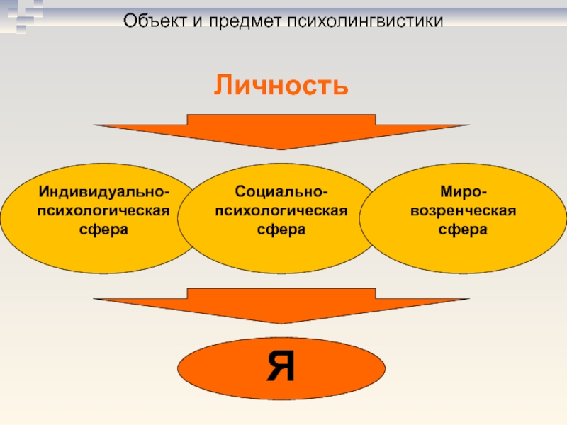 Схема взаимодействия психолингвистики с другими областями знания