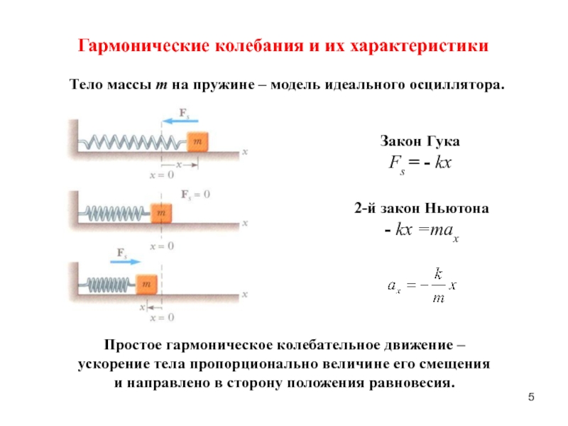 Закон гука при кручении