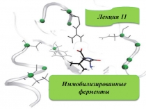 Лекция 11
Иммобилизированные ферменты