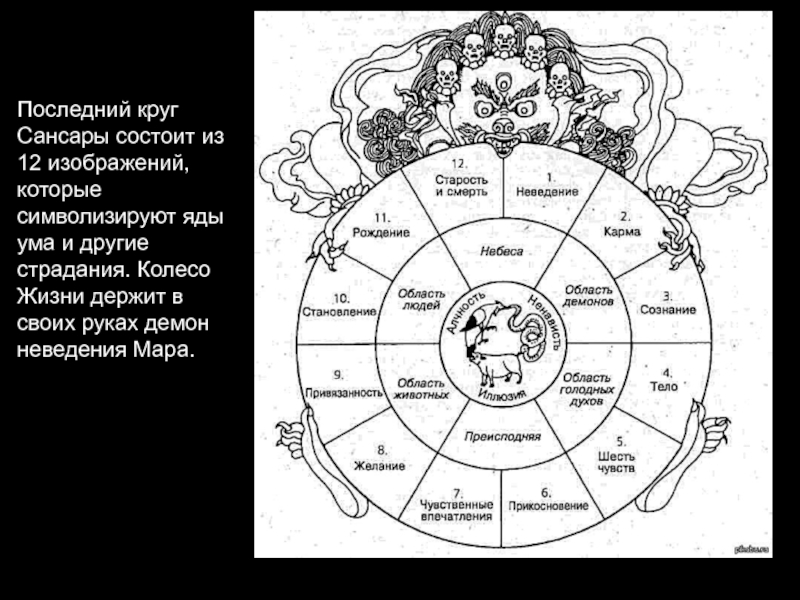 Картина колесо жизни