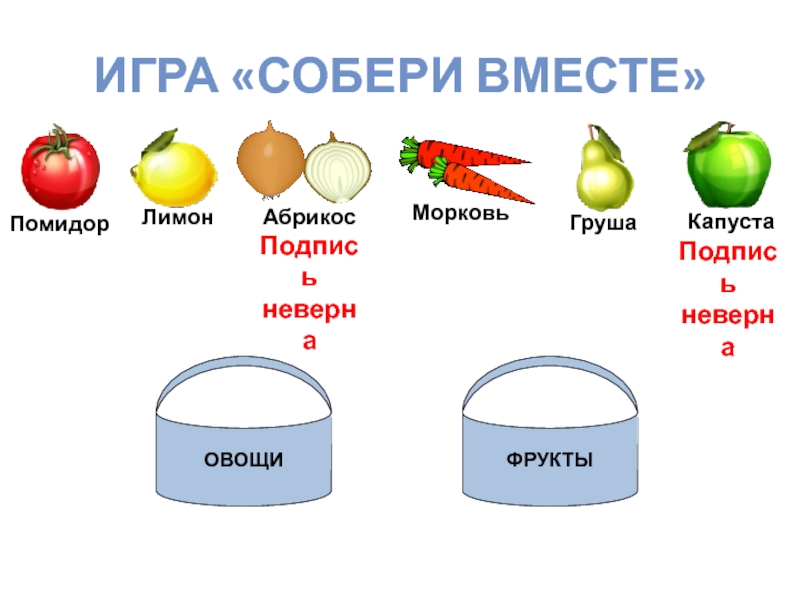 Собери их вместе. Игра Собери сервиз. Собери вместе игра. Игра «Собери строение птицы». Собираем вместе схема.